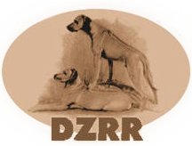 DZRR DZRR